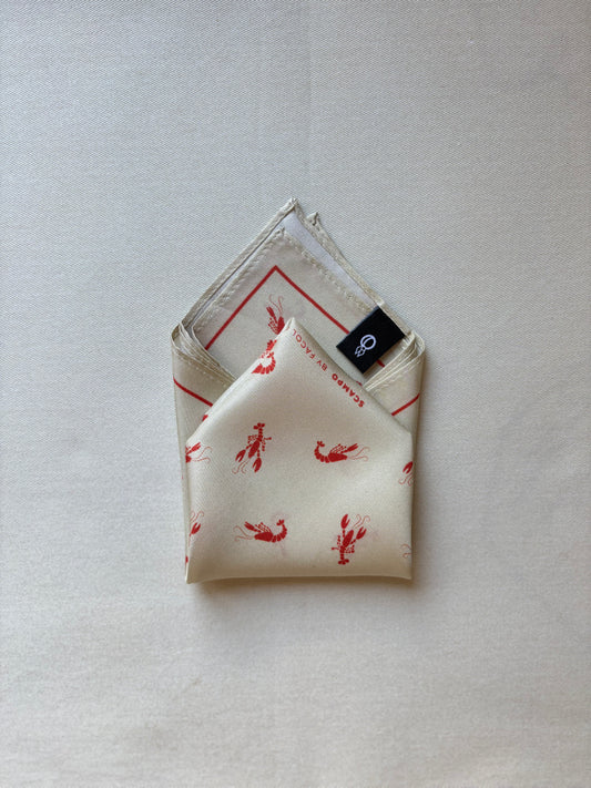 Džepni rupčić - 'Facolić' za muškarce - SCAMPO